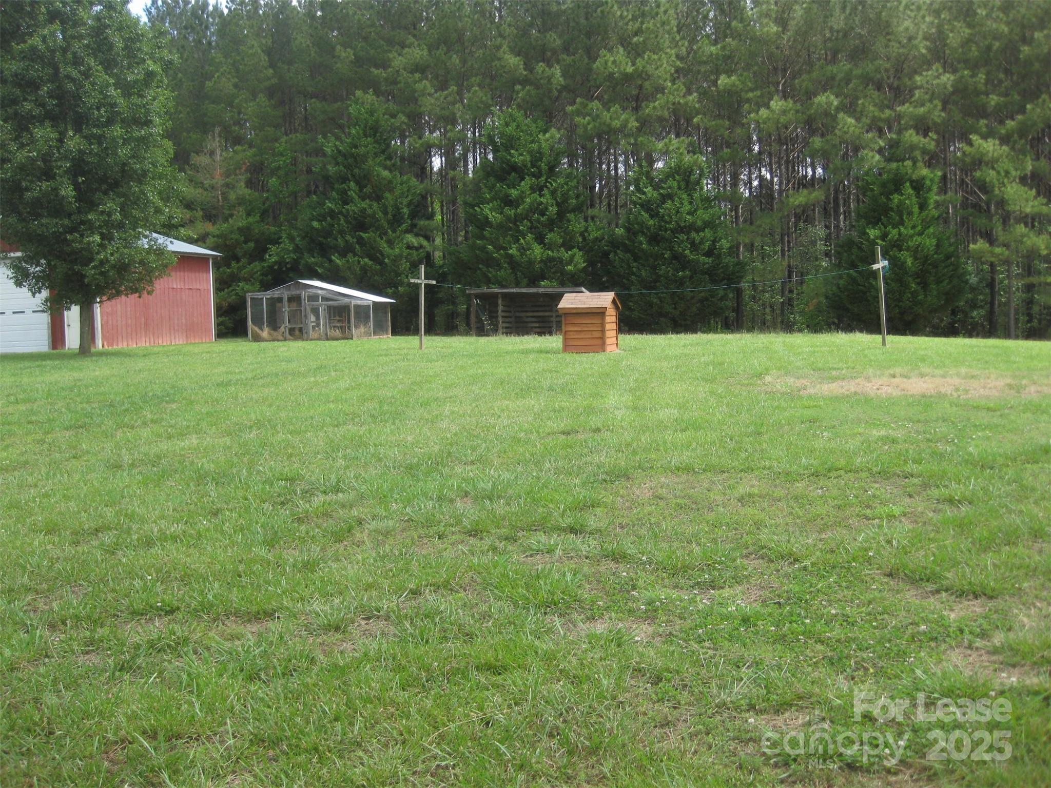 None - Residential Lease