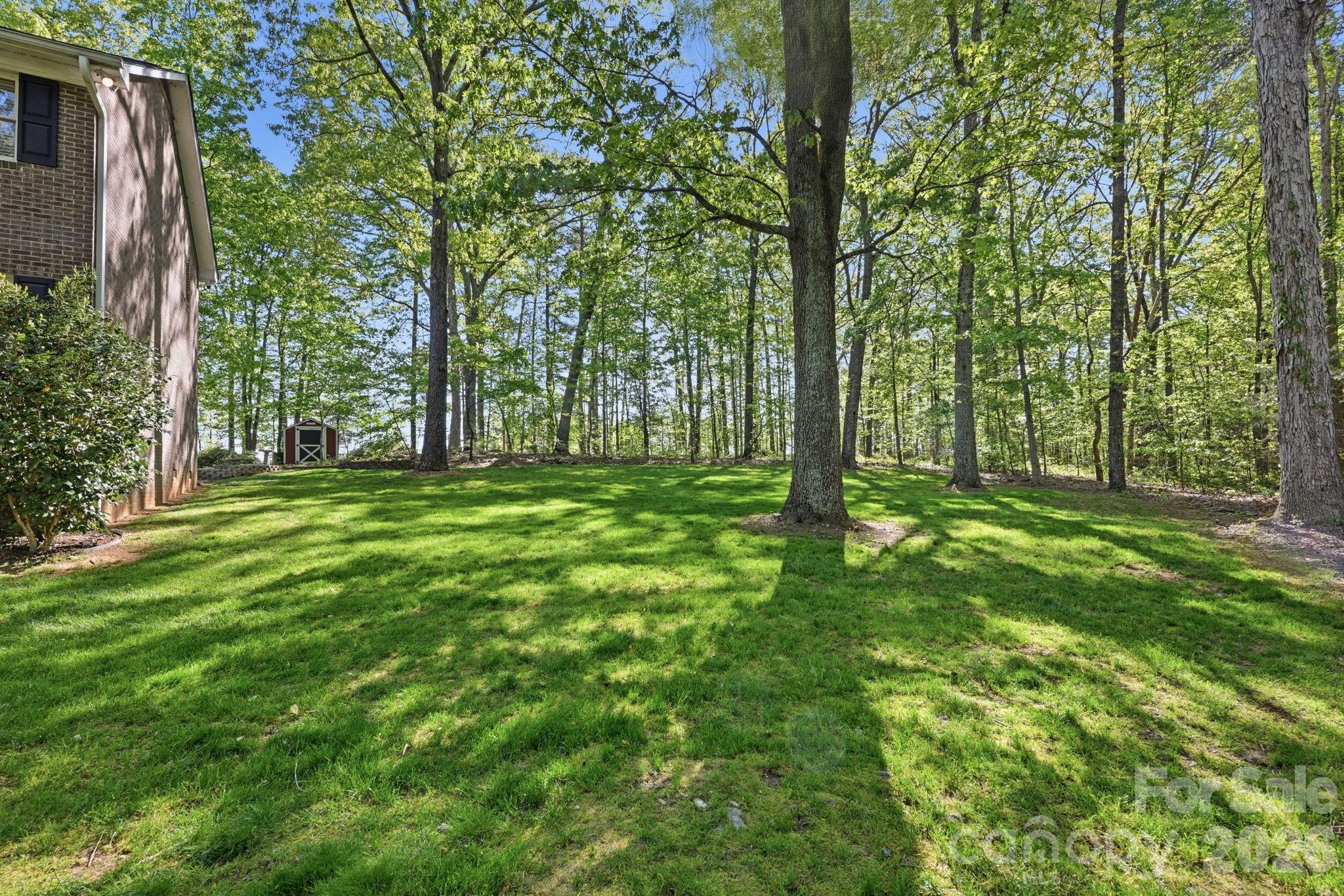 Island Forest - Residential