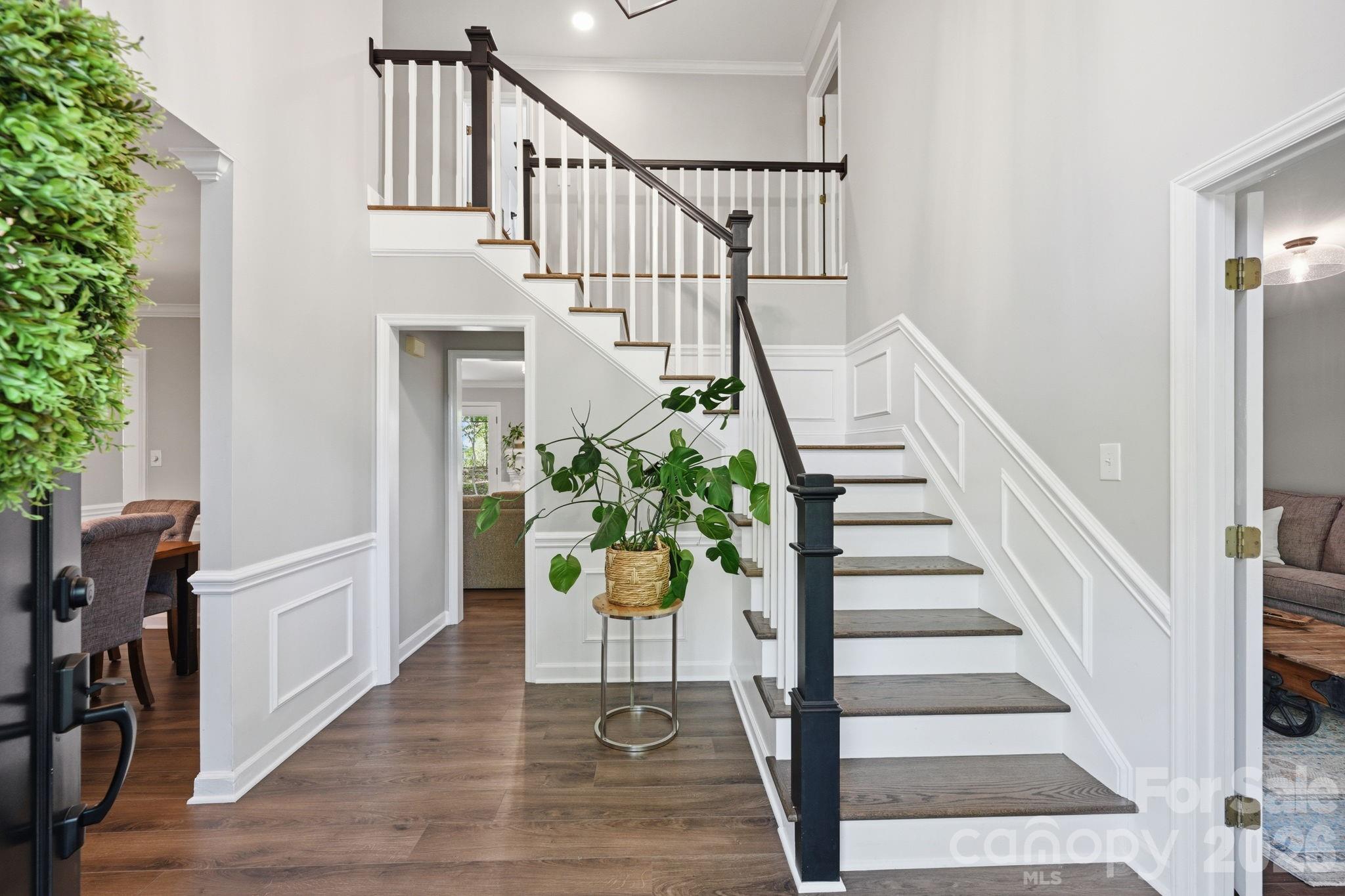 Island Forest - Residential