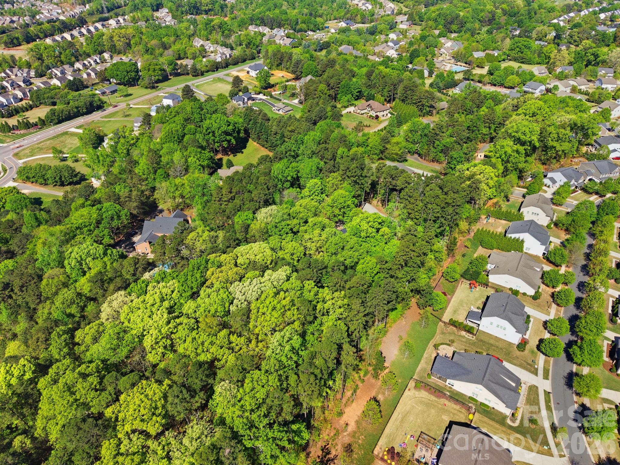 Island Forest - Residential