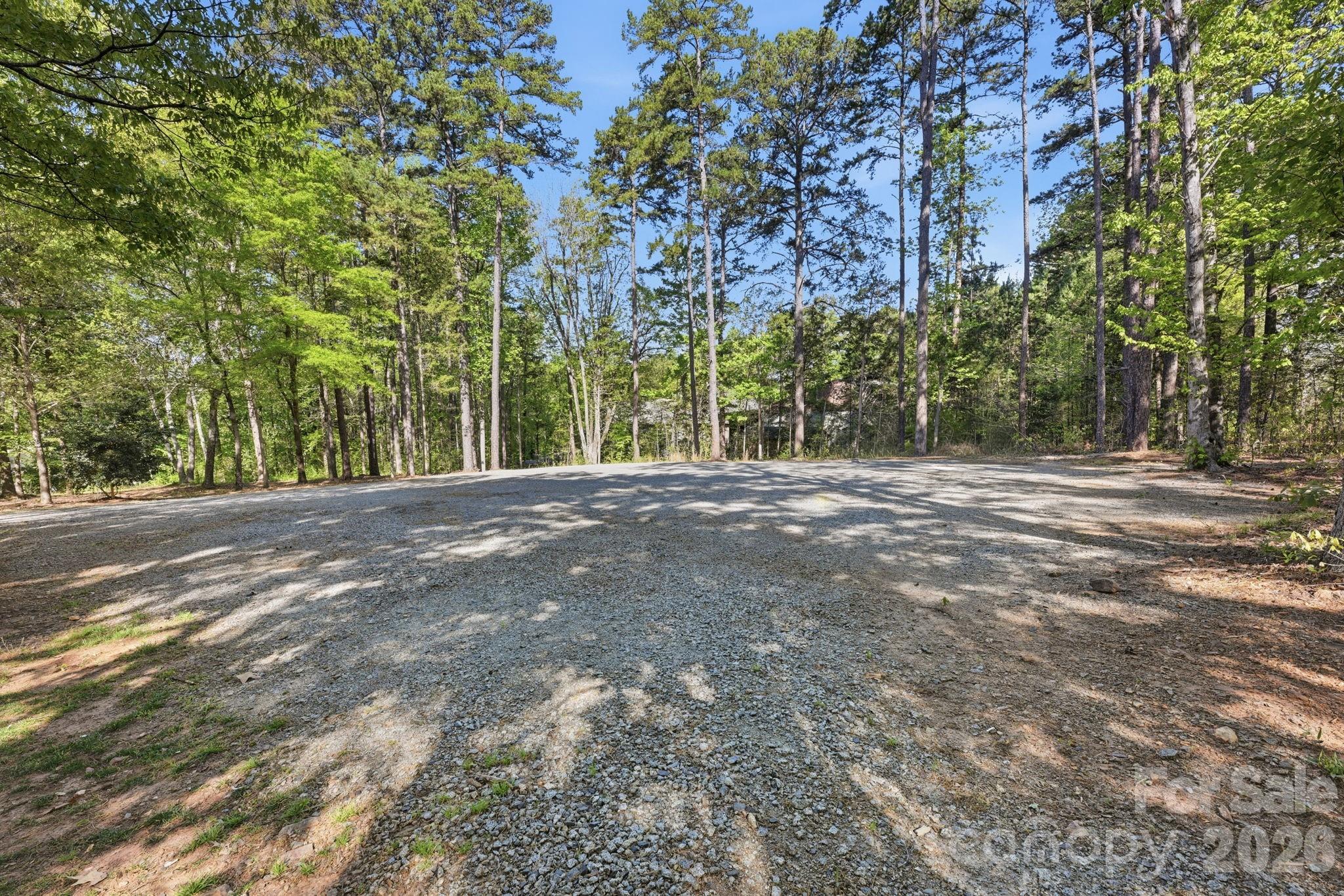 Island Forest - Residential