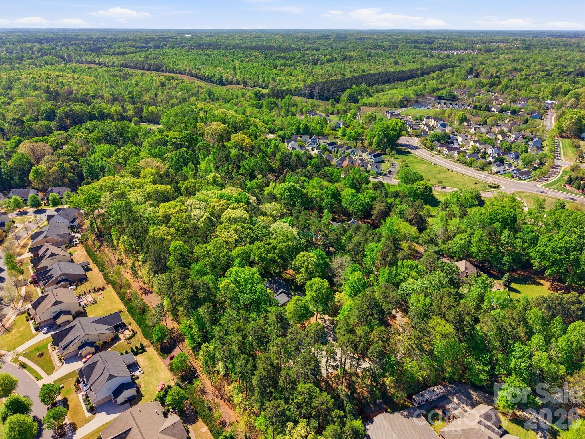 Island Forest - Residential