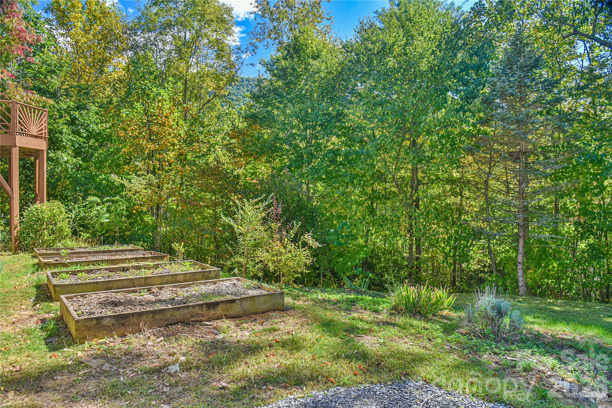 227 David Ridge Road