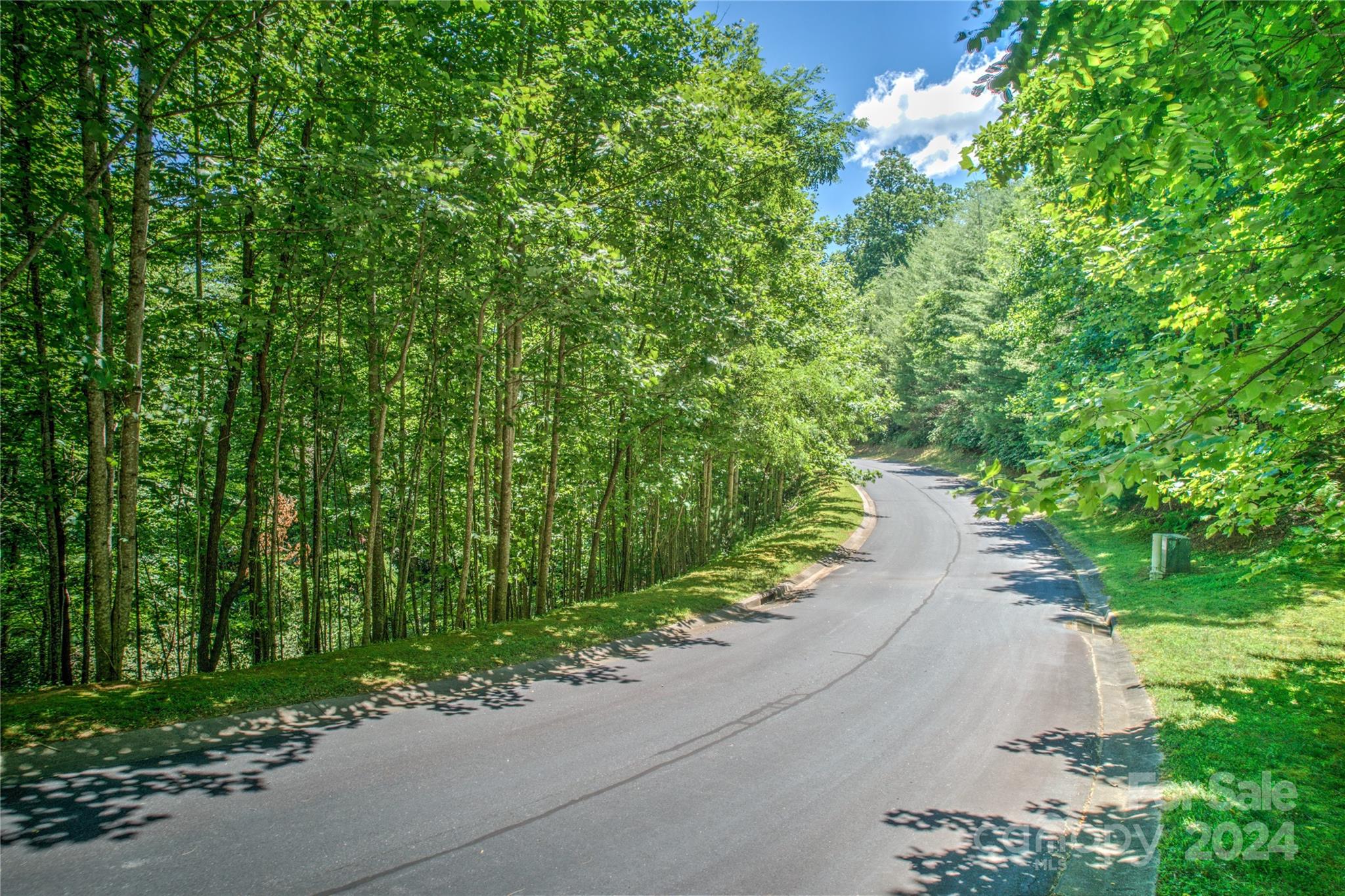 Homestead at Mills River - Land
