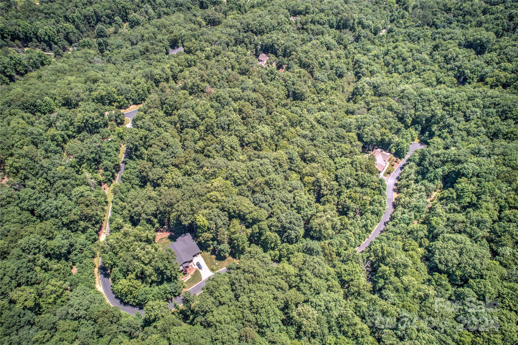 Homestead at Mills River - Land