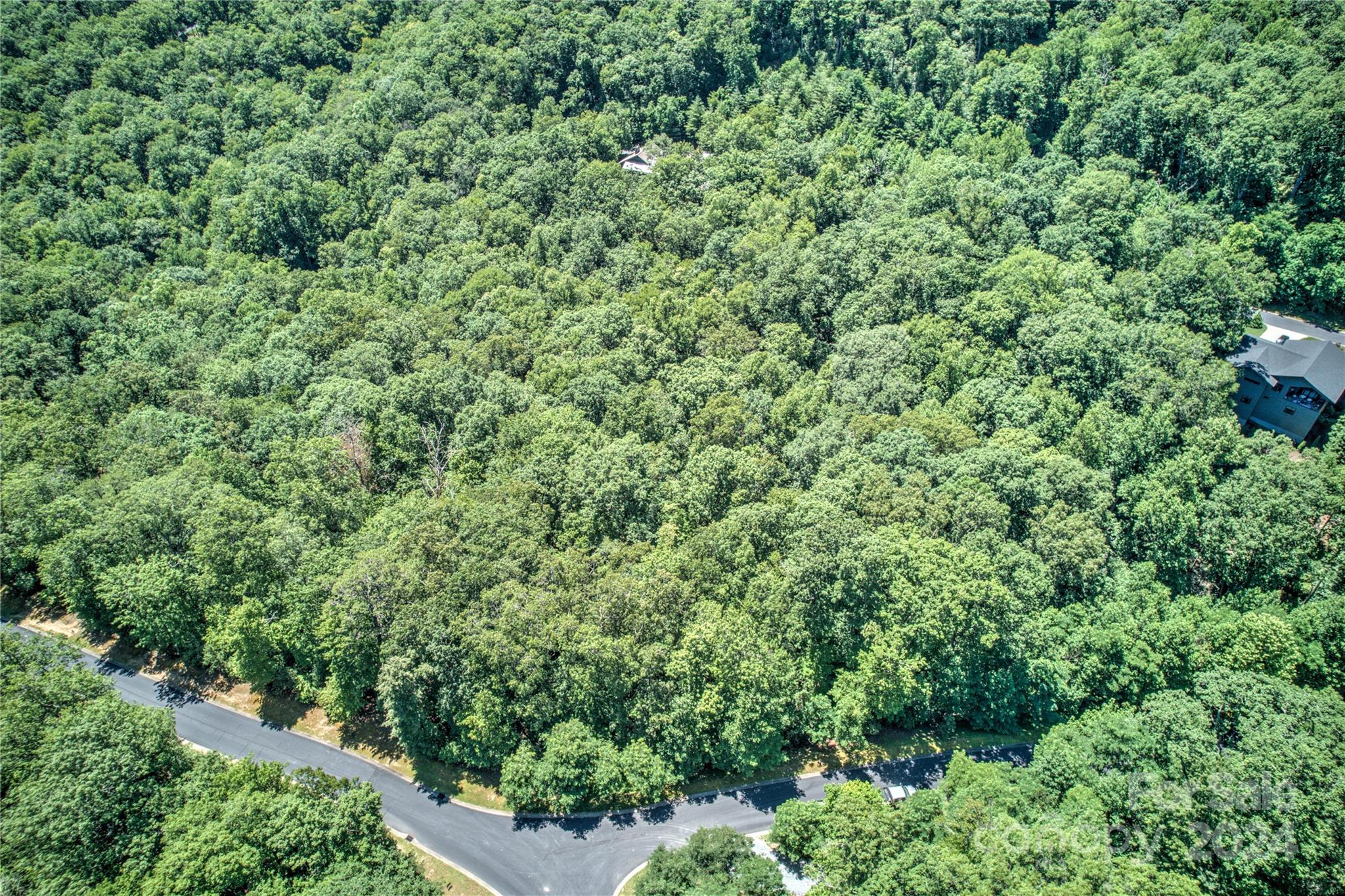 567 Shining Rock Path