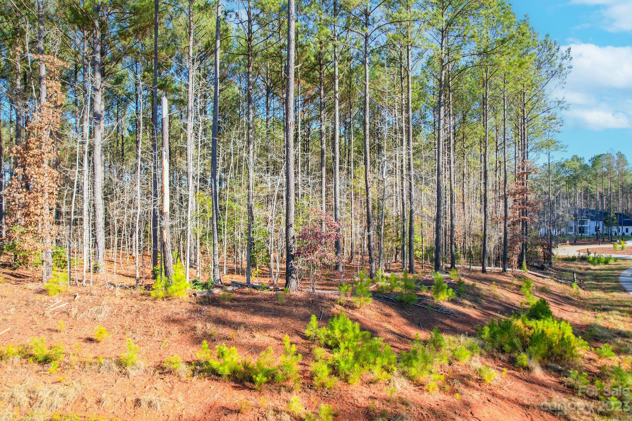 Riverchase Estates - Land