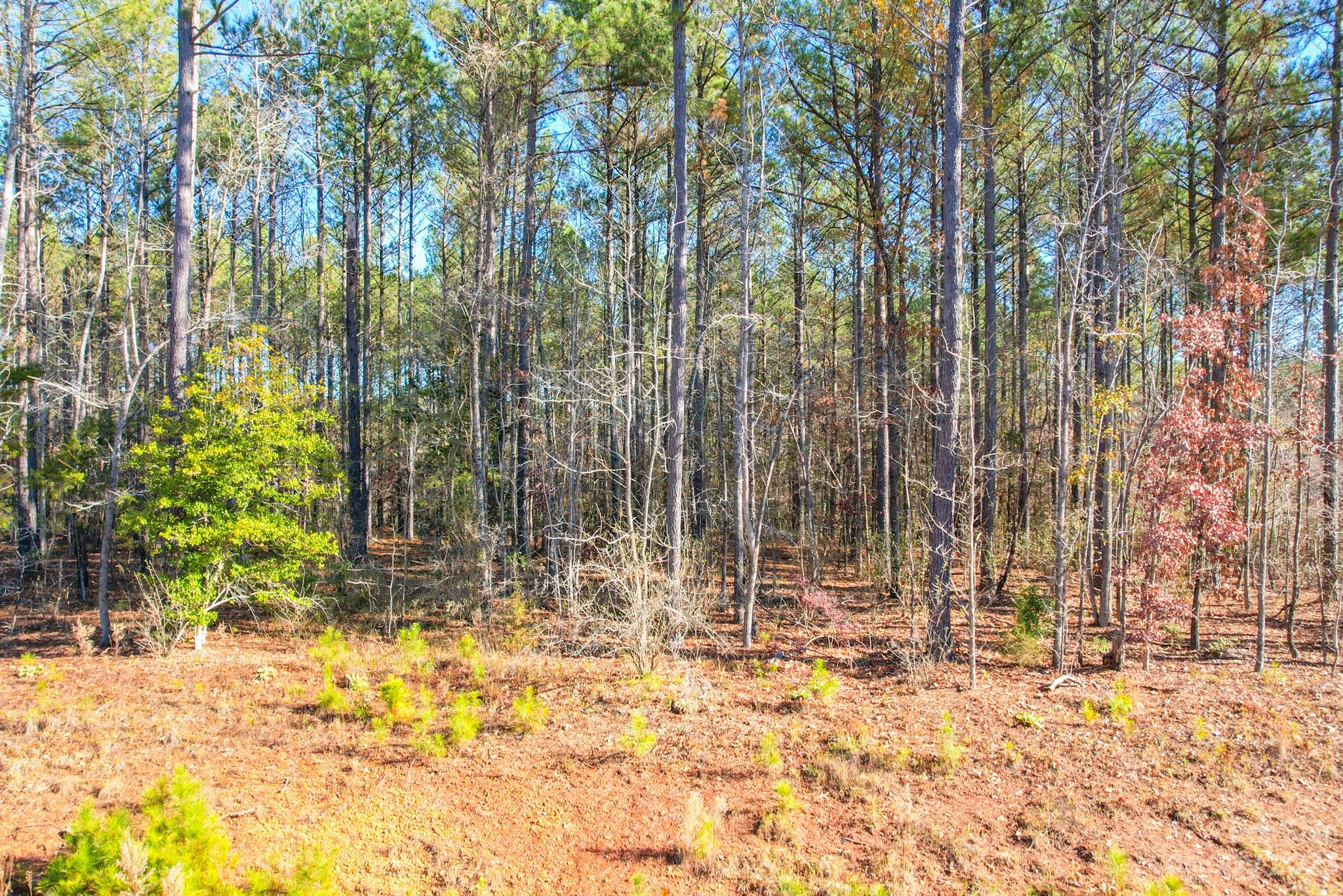 Riverchase Estates - Land