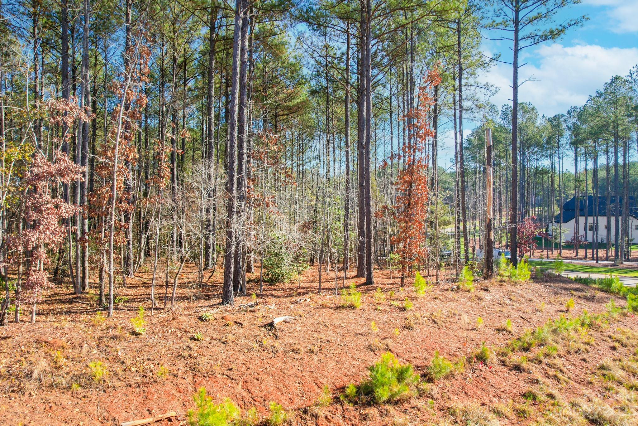 Riverchase Estates - Land