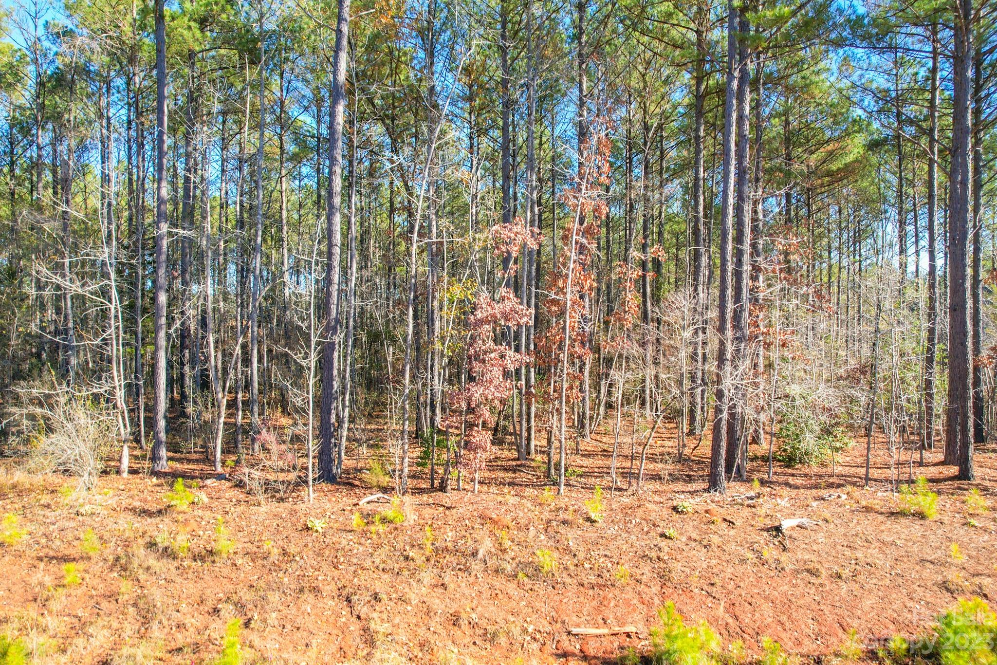 Riverchase Estates - Land