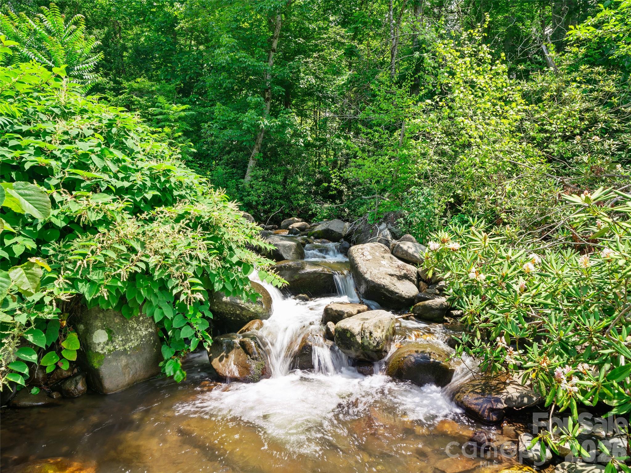 253 Odoms Chapel Road