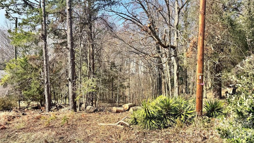 Welcome to this vacant lot located just minutes away from UNCC and Uptown Charlotte. It provides convenient access. The surrounding area is experiencing rapid growth, making it an excellent long-term investment opportunity. The N1-B zoning district allows for the construction of single-family homes, duplexes, and triplexes, making it an ideal location for builders, investors, or first-time ground-up projects.