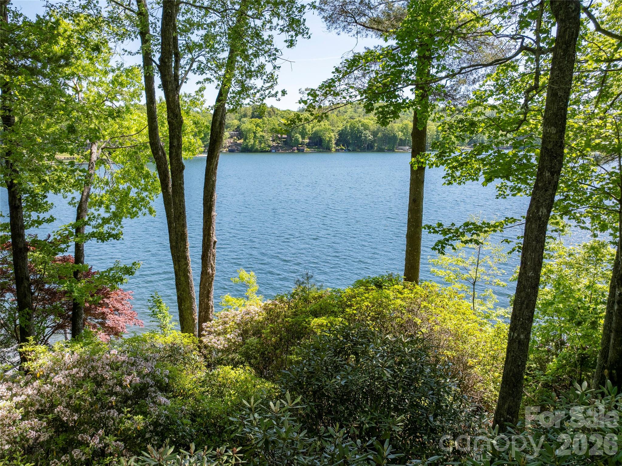 Lake Toxaway Estates - Residential