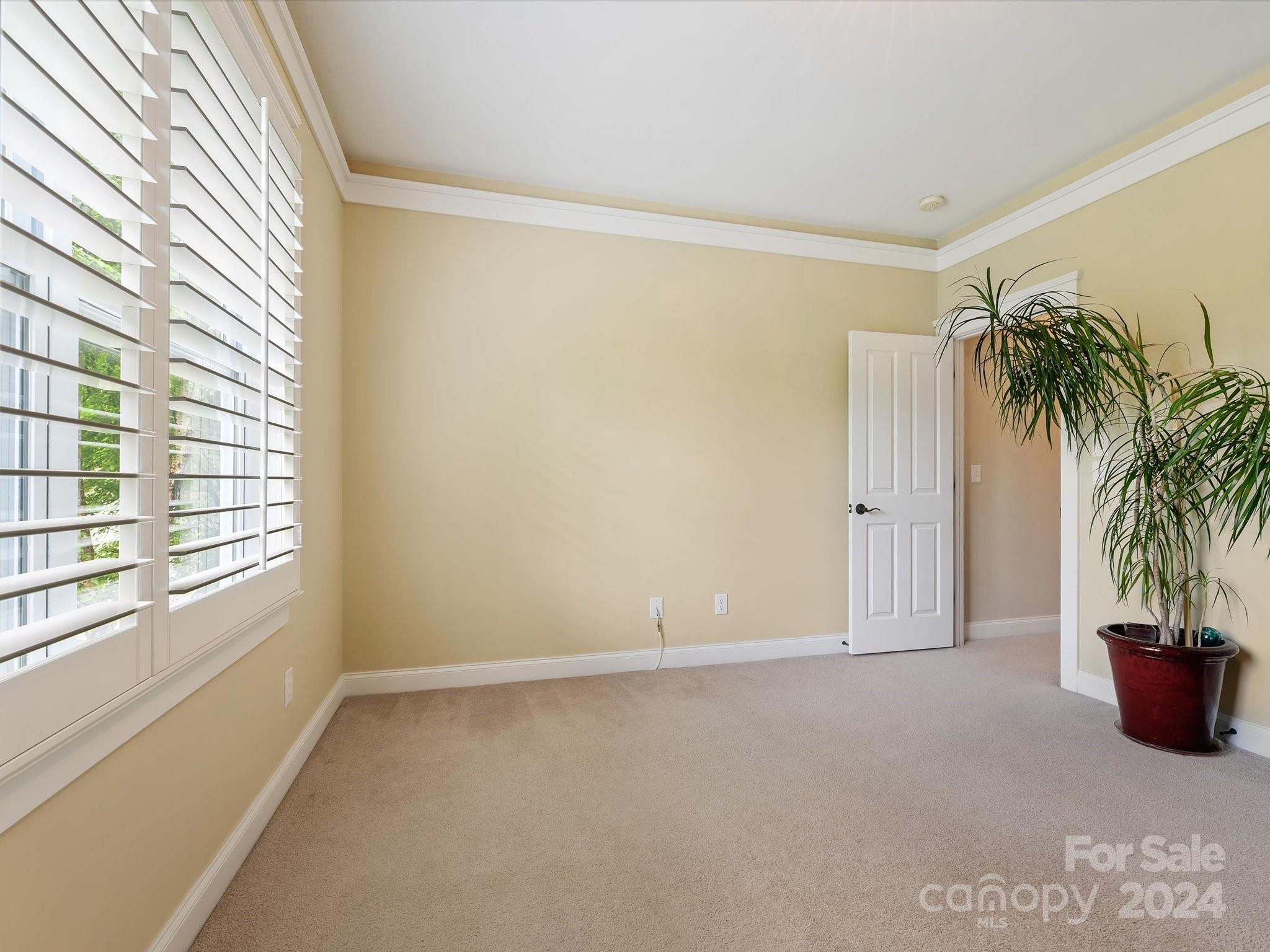 Lake Shore - Residential