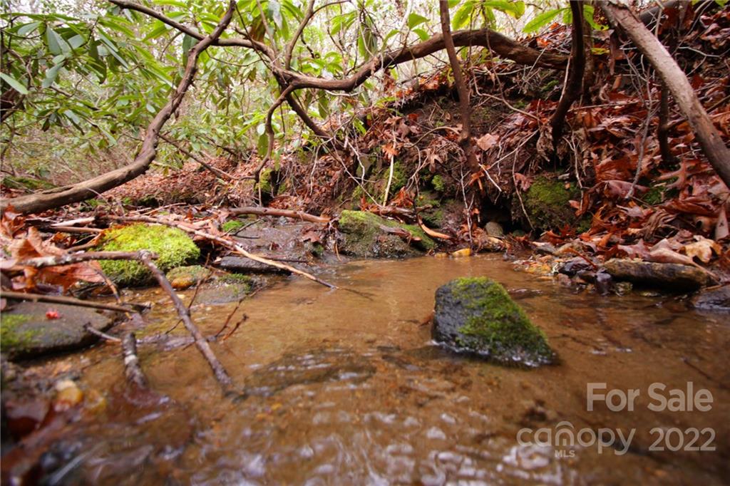 Lot 11 Upper Whitewater Road 11