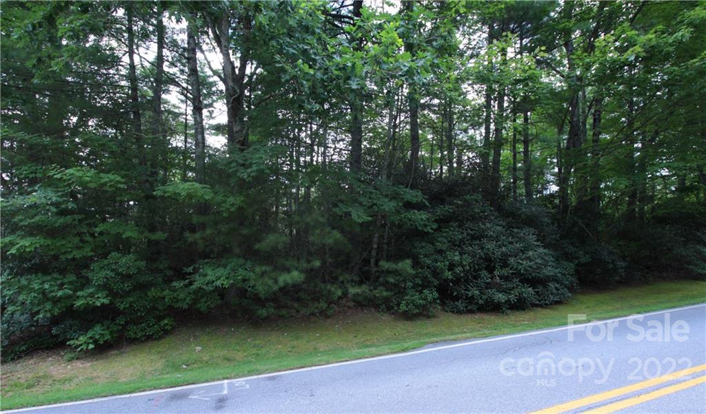 Lot 11 Upper Whitewater Road 11