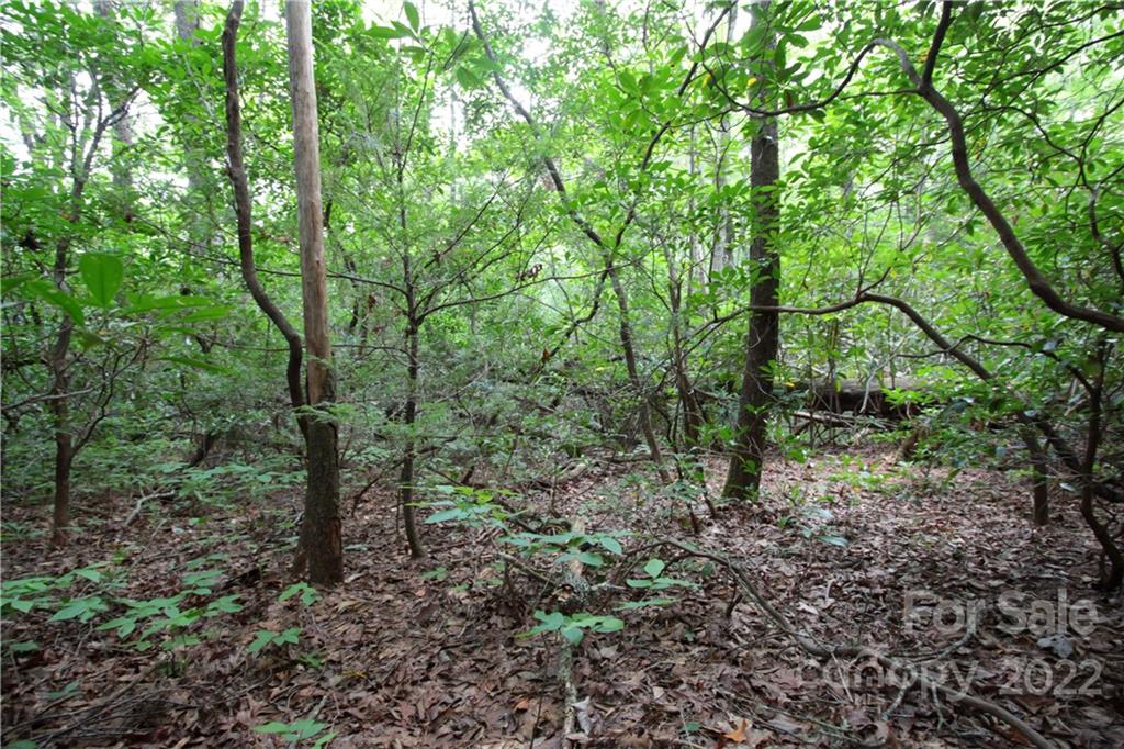 Lot 11 Upper Whitewater Road 11