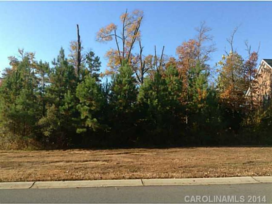 GREAT BUILDING LOT; ONE OF LAST LOTS FOR SALE. WOODED; LEVEL LOT. HAS RESTRICTIONS & COVENANTS. POOL, TENNIS COURT, CLUBHOUSE, MIN. OF 3000 SQUARE FEET.