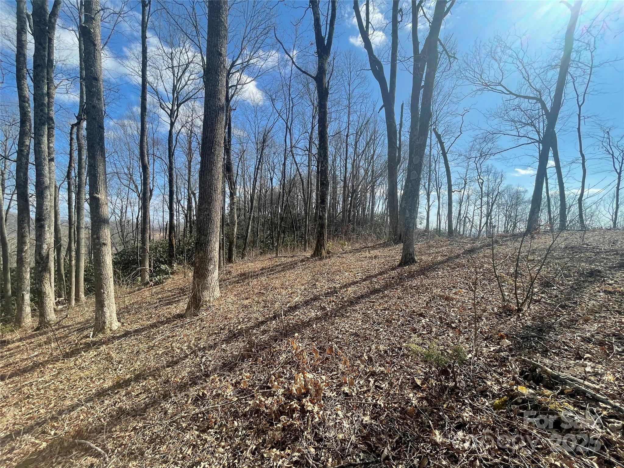 6 Laurel Ledge Way LOT 17