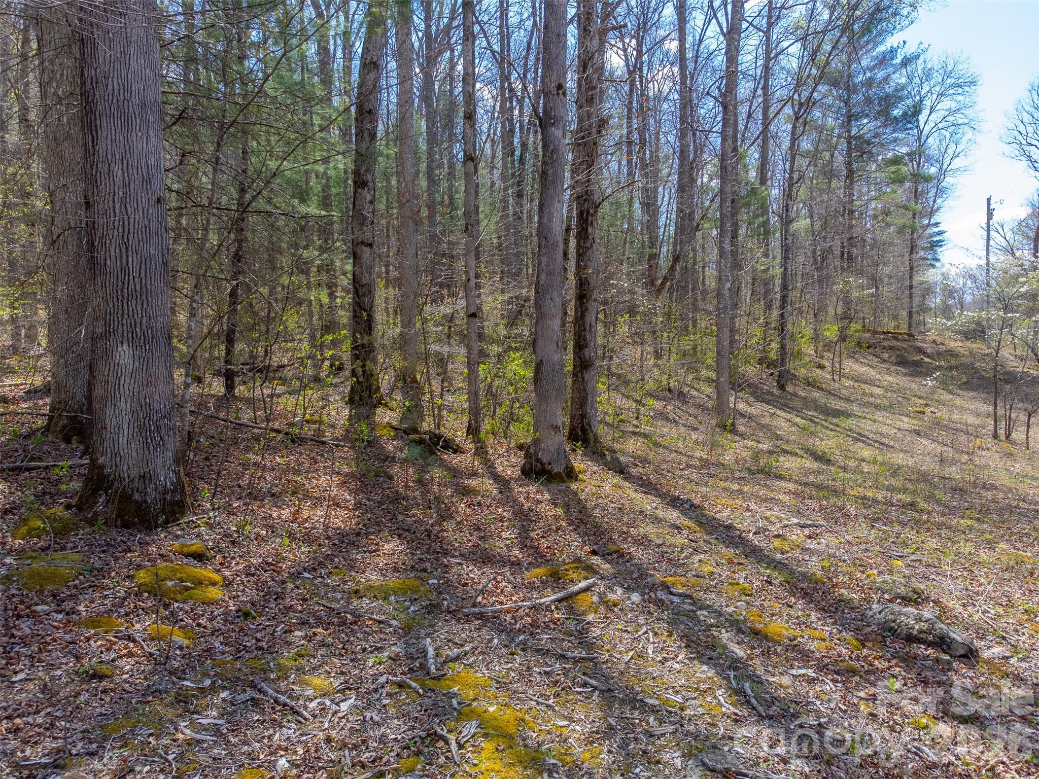 Cedar Creek - Land