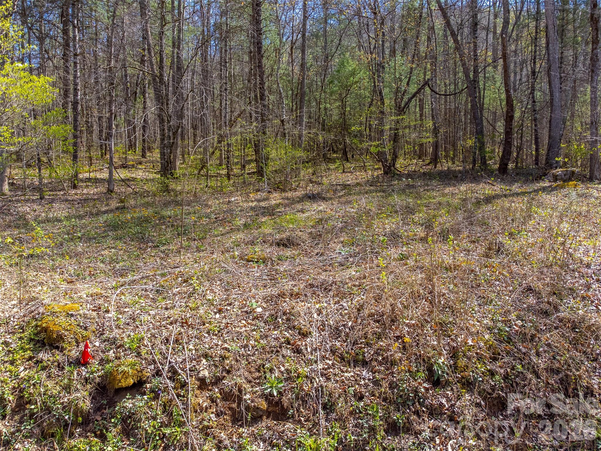 Cedar Creek - Land