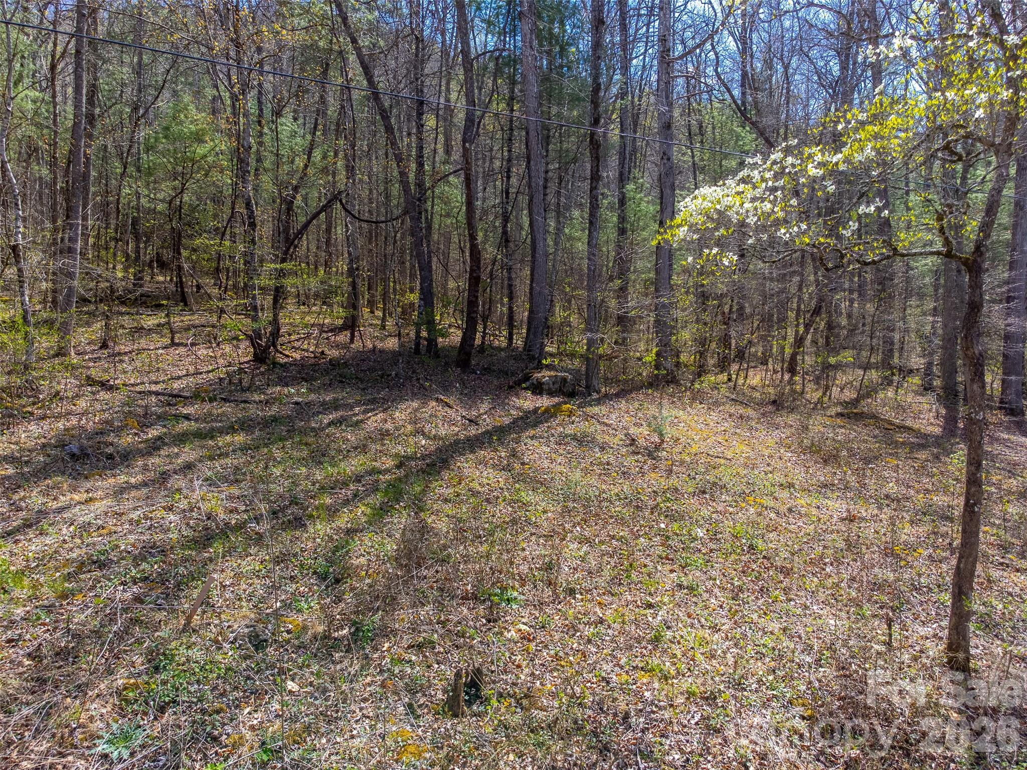 Cedar Creek - Land
