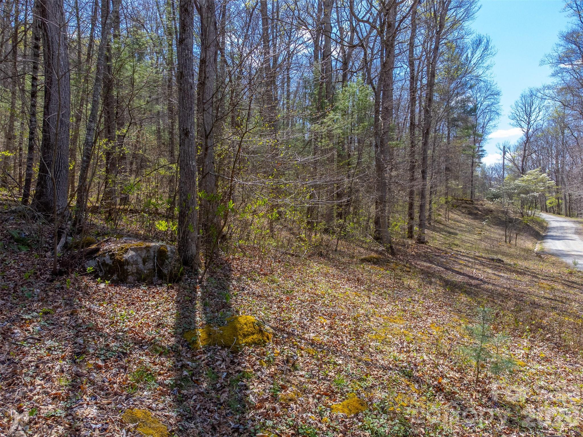 Cedar Creek - Land