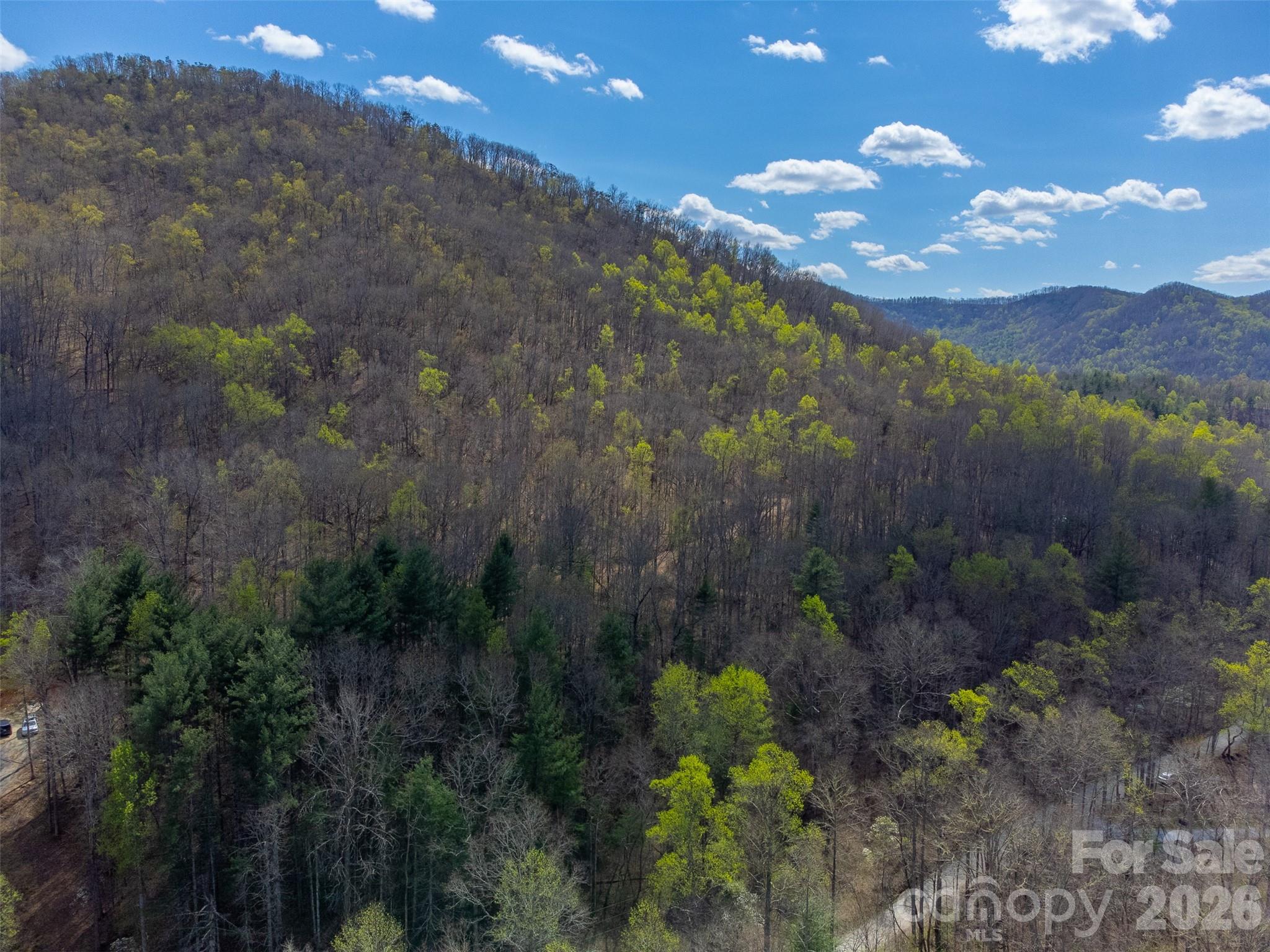 Cedar Creek - Land