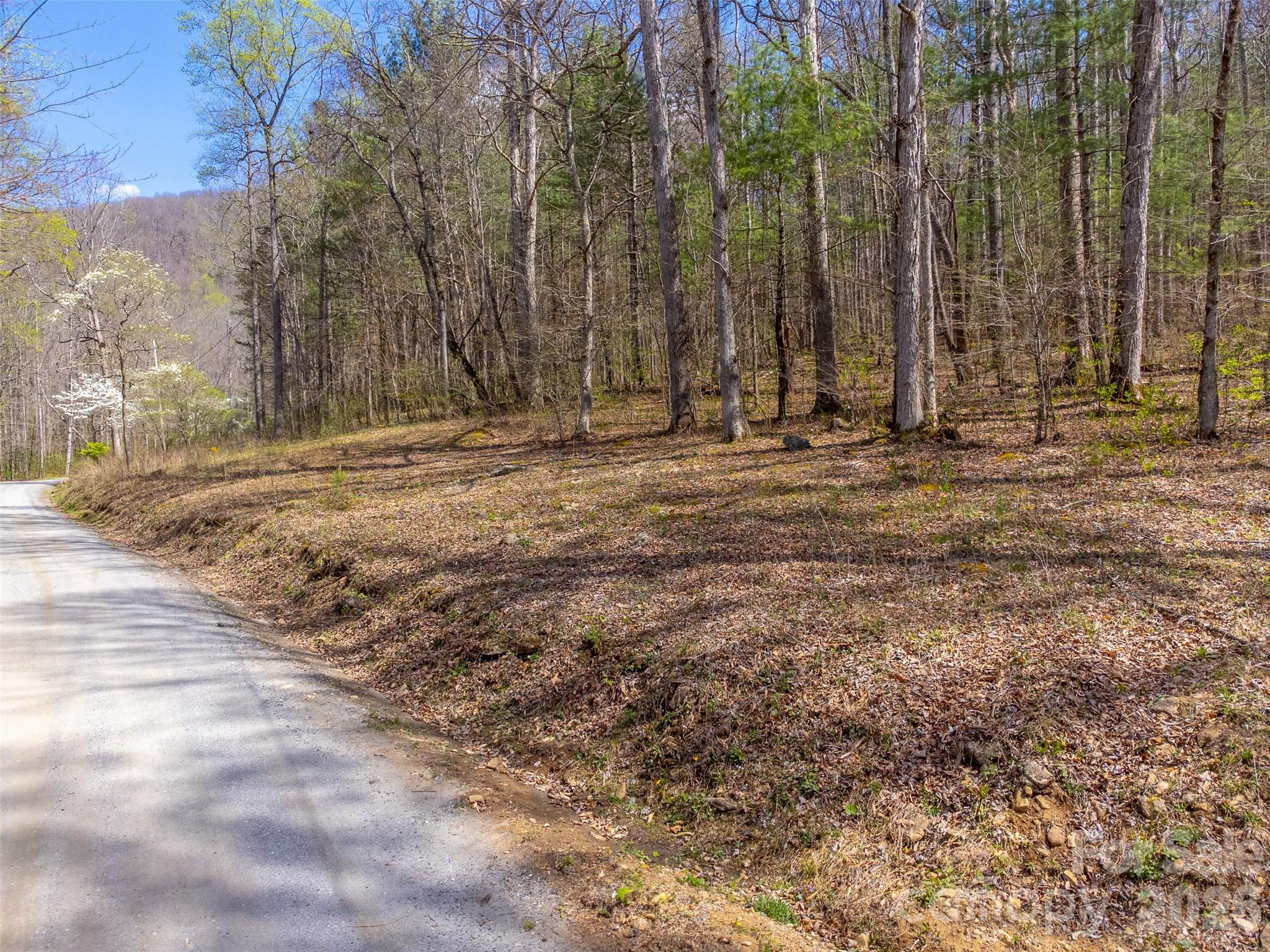 Cedar Creek - Land