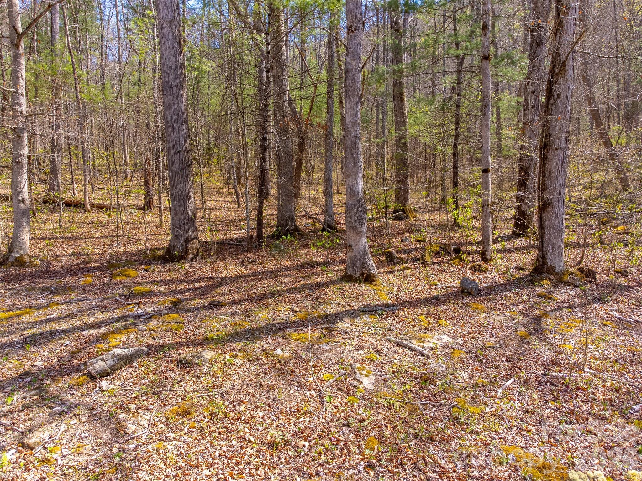 Cedar Creek - Land