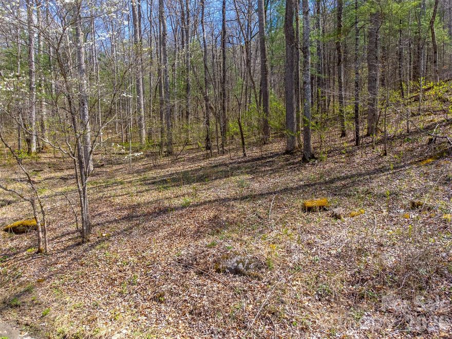 Over 10 acre lot in a well maintained subdivision with a 3 bedroom septic in place! This beautiful parcel offers the perfect blend of space and privacy. With easy access via well-kept roads, you’ll enjoy the convenience of a neighborhood setting while still having plenty of elbow room. Located just 10 minutes from Western Carolina University and close to Cedar Cliff and Bear Lakes, this property is ideal for building your mountain dream home in a peaceful, private setting.