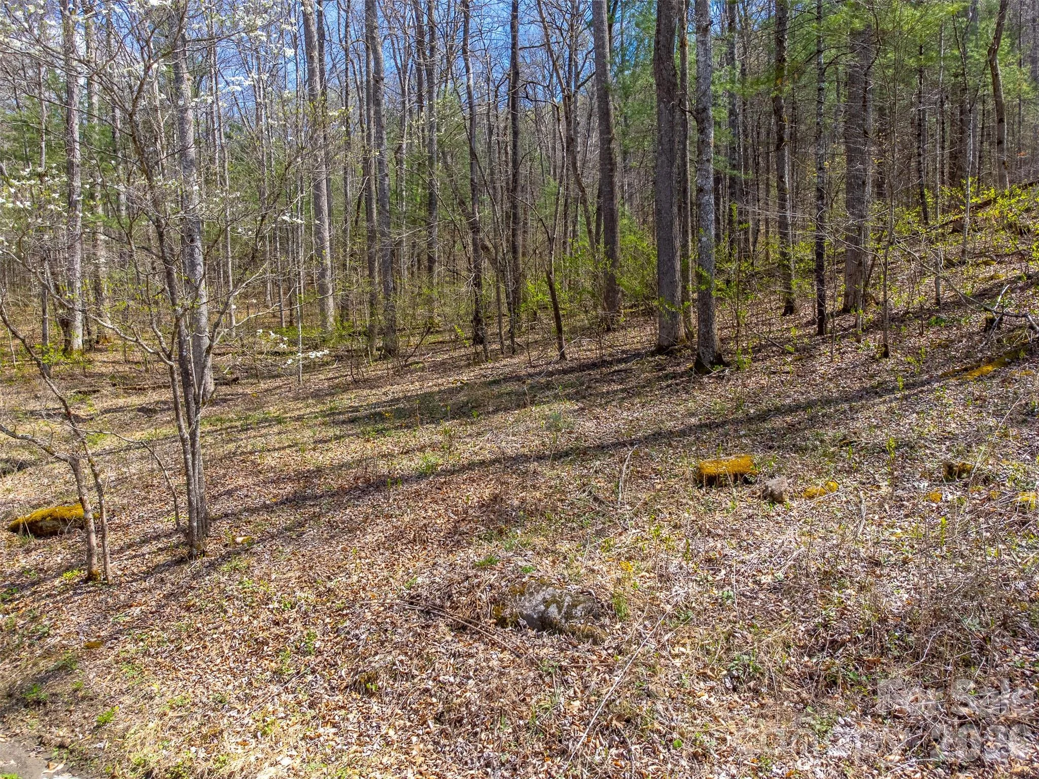 306 Cedar Creek Farm Road, Tuckasegee, NC, 28783