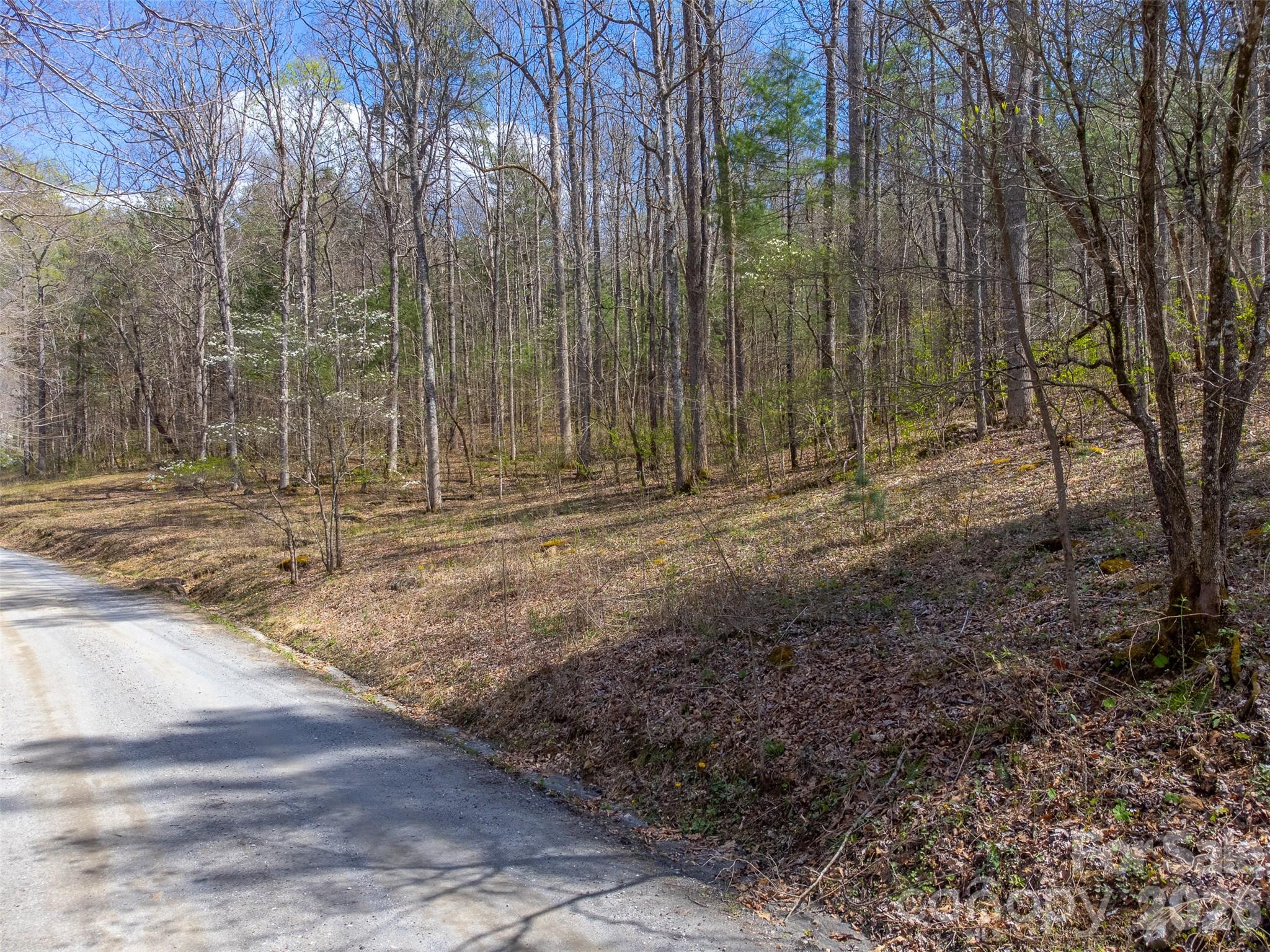Cedar Creek - Land