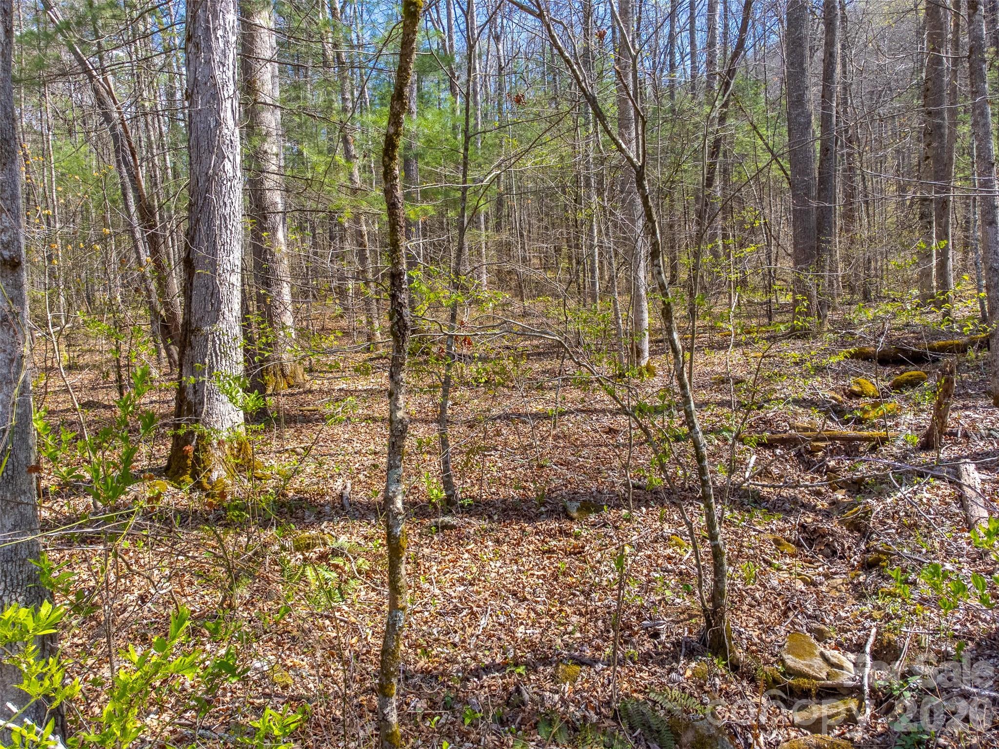 Cedar Creek - Land