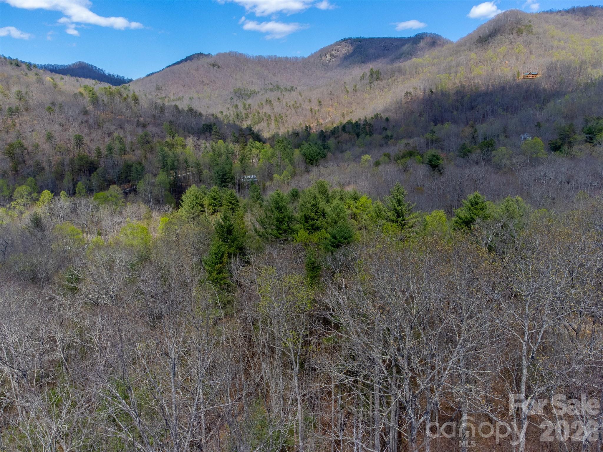 Cedar Creek - Land