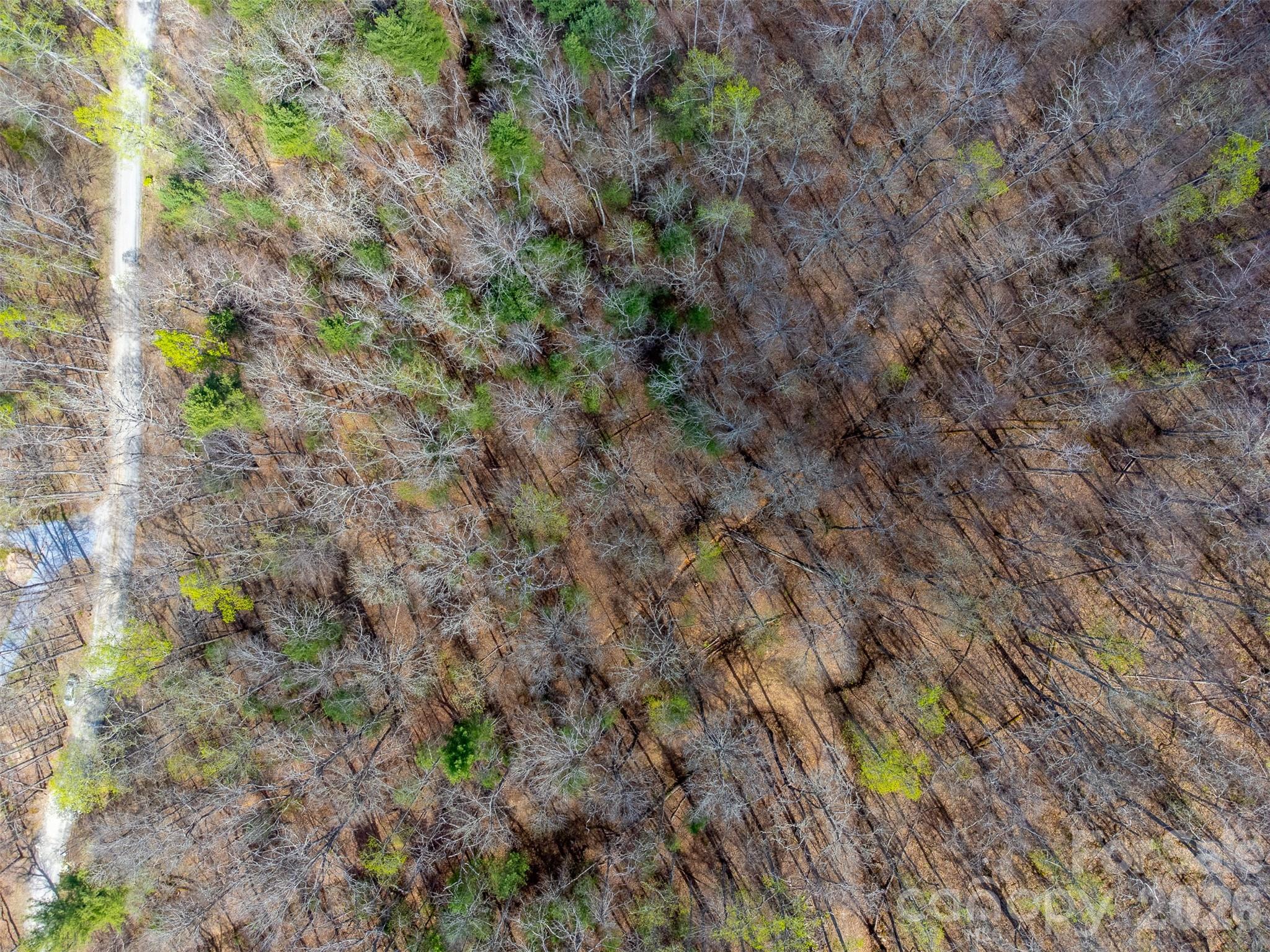 Cedar Creek - Land