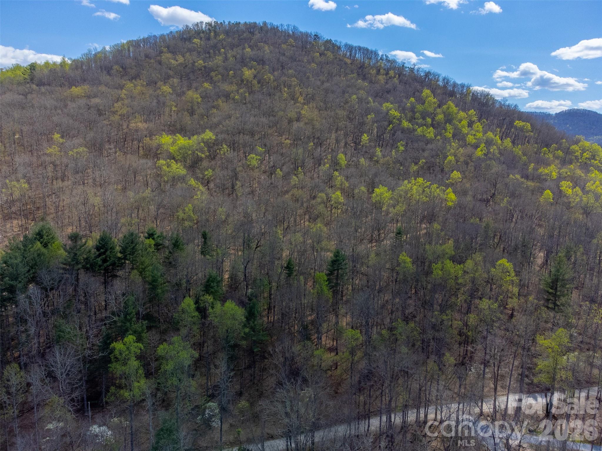 Cedar Creek - Land