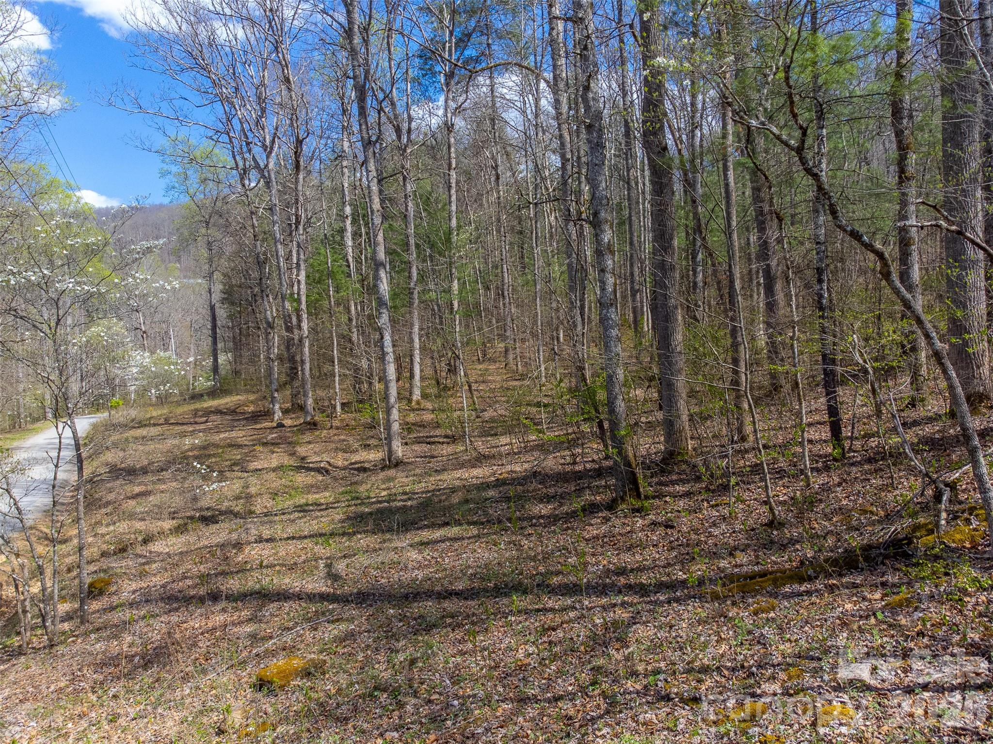 Cedar Creek - Land