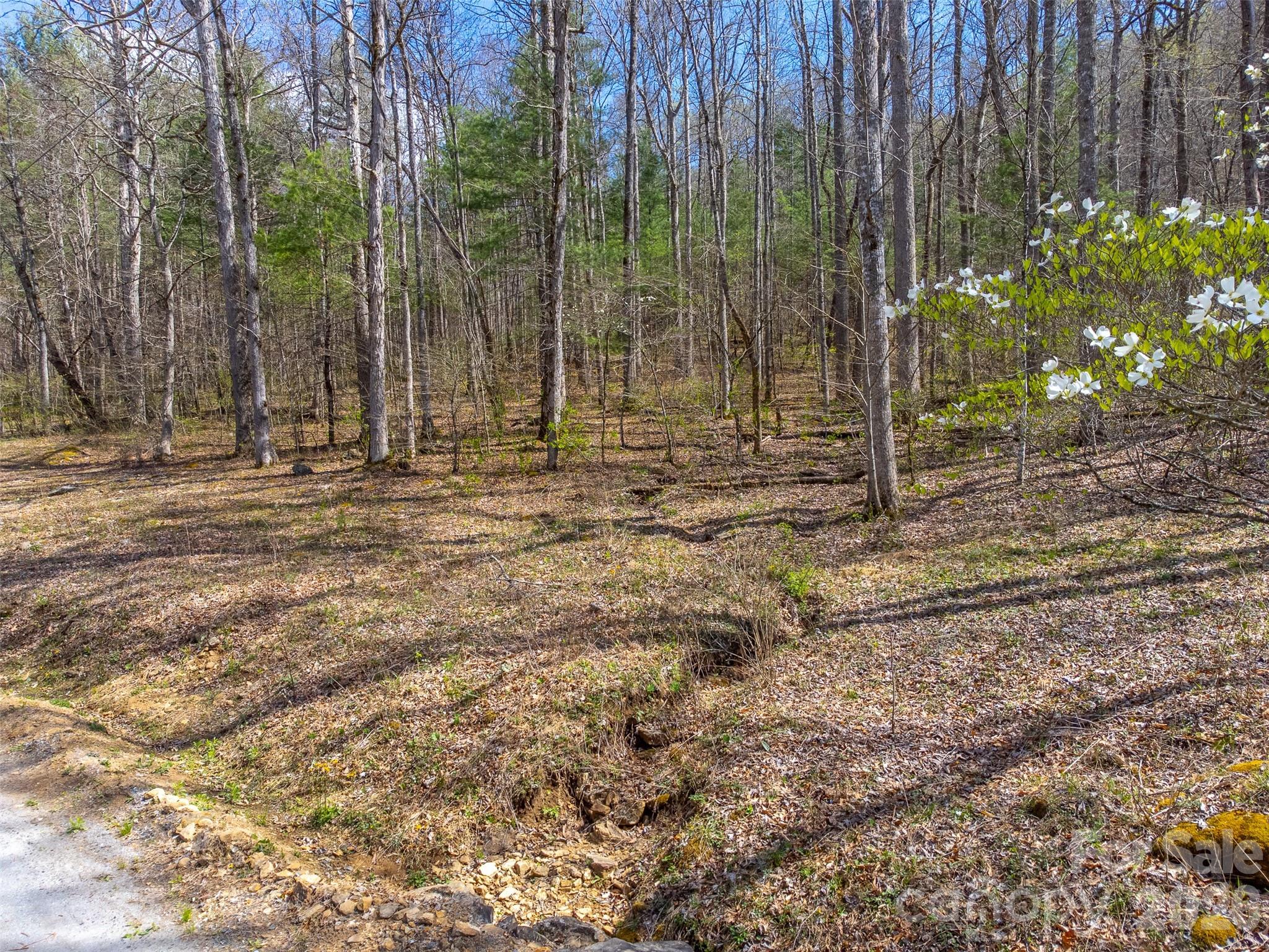 Cedar Creek - Land