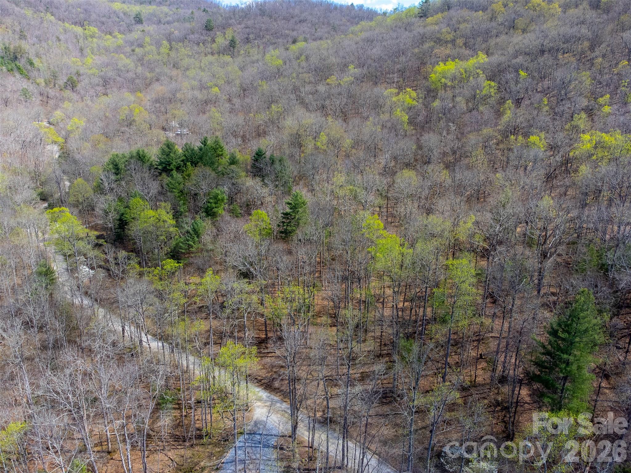 Cedar Creek - Land