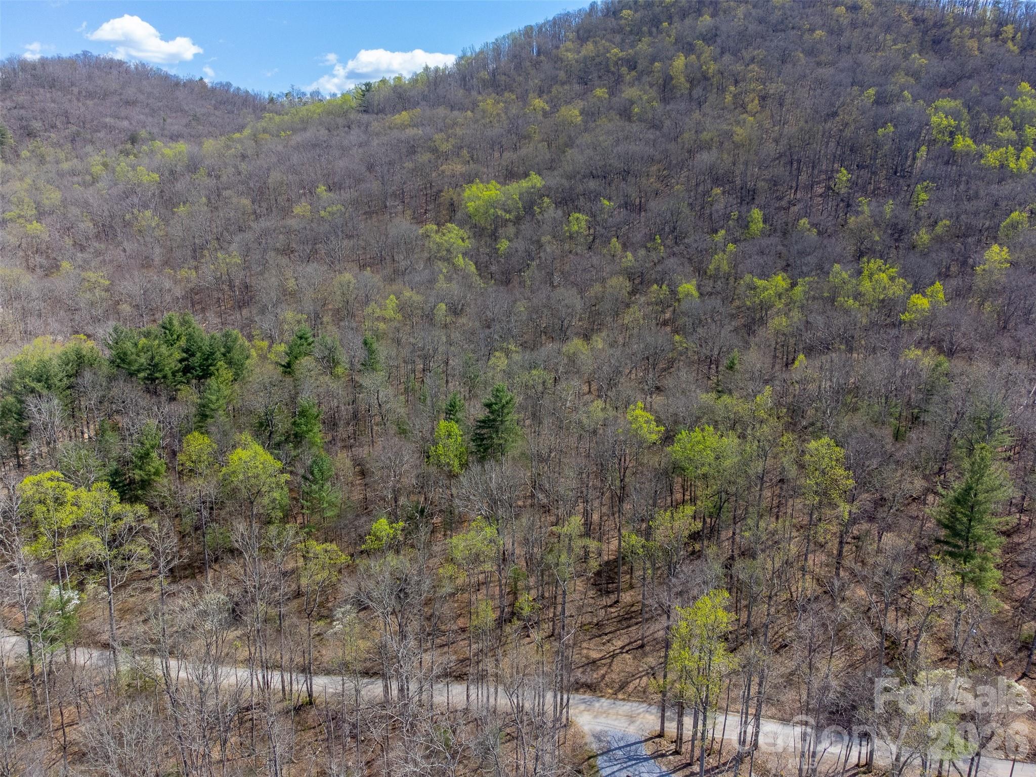 Cedar Creek - Land