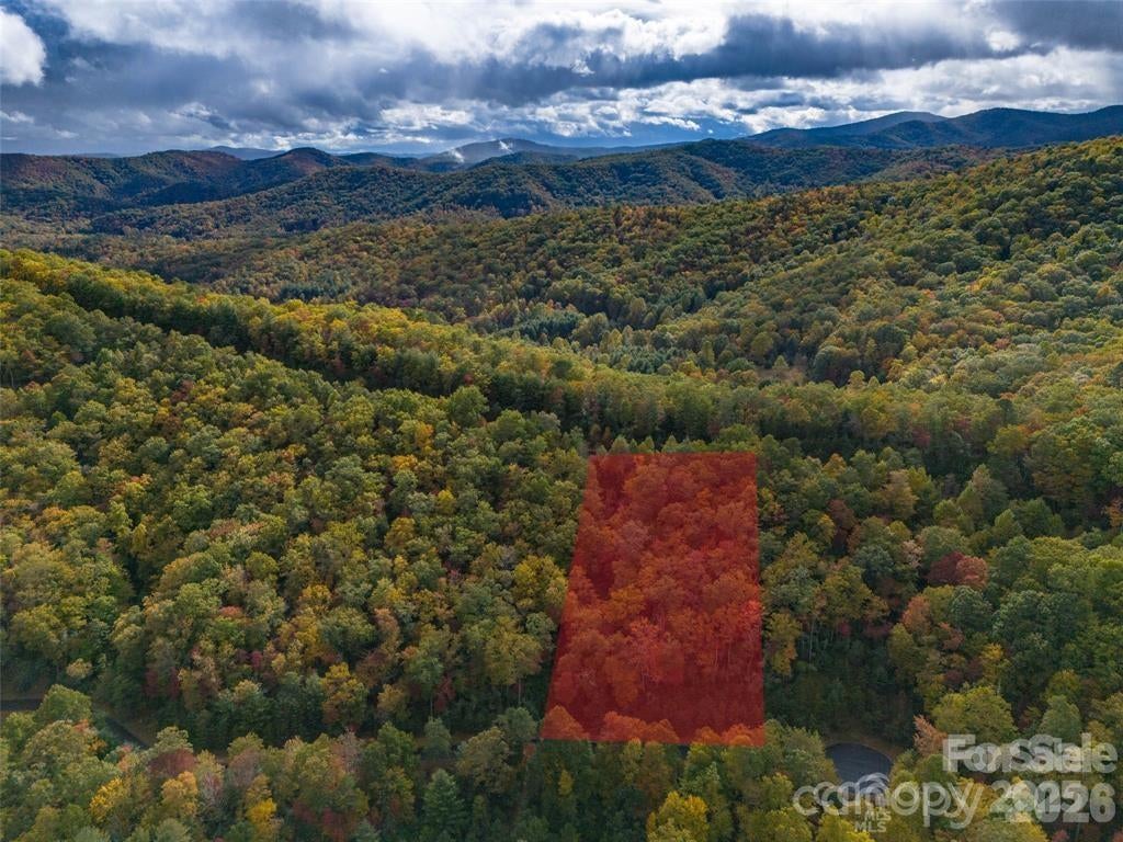 99999 Mills River Way Lot 107
