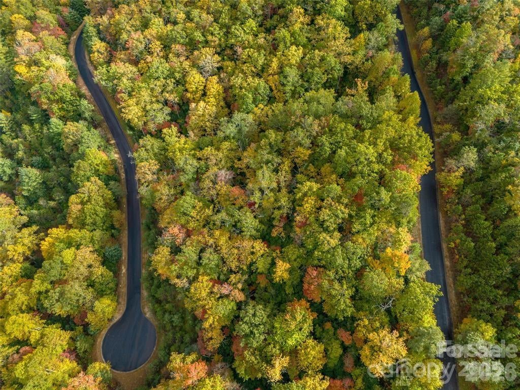99999 Mills River Way Lot 107