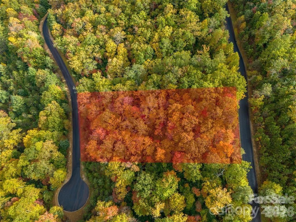 99999 Mills River Way Lot 107