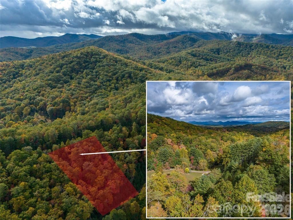 99999 Mills River Way Lot 107