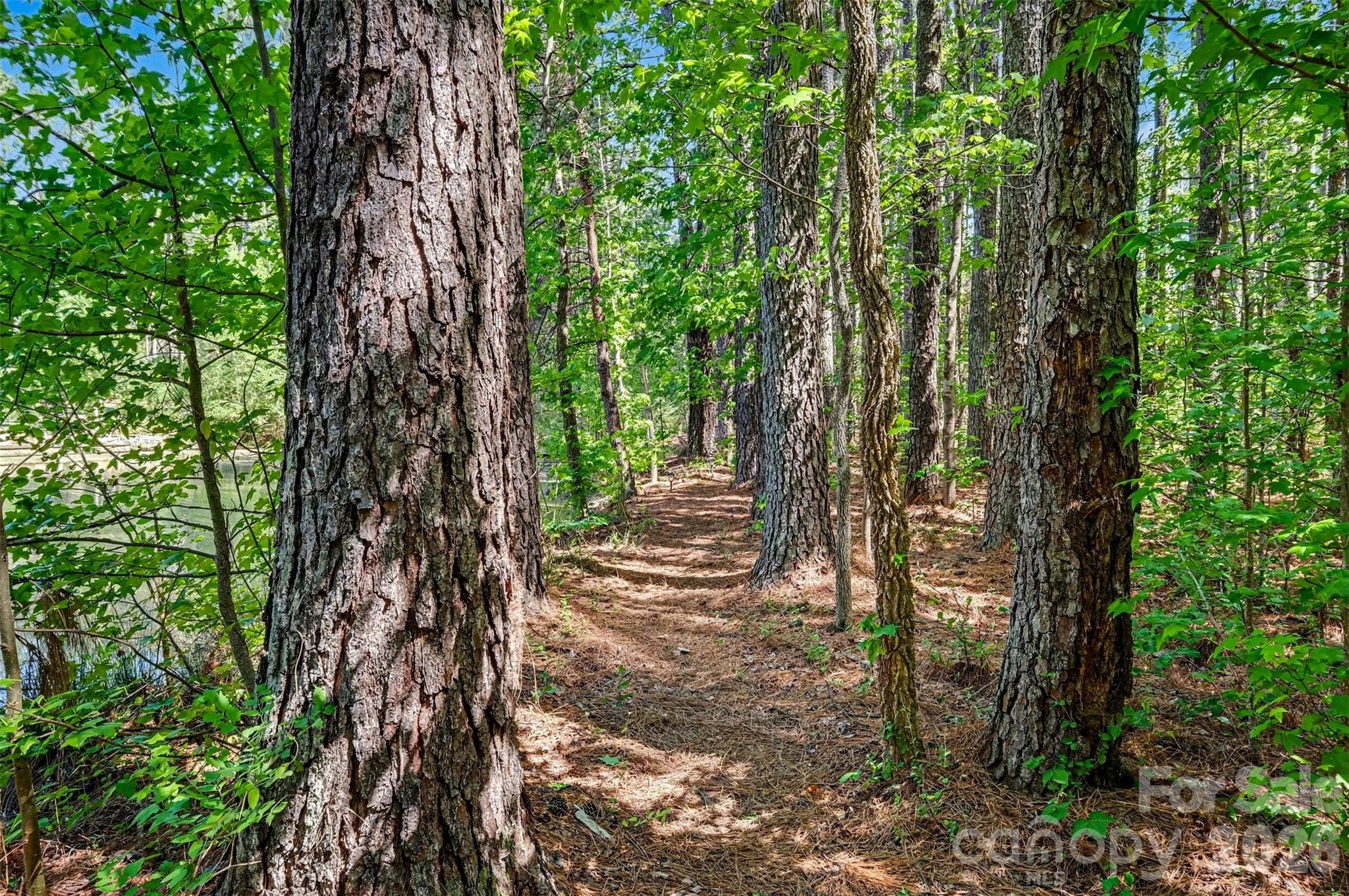 102 Antioch Plantation Road