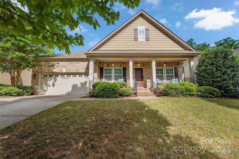 Photo of 10316 Daufuskie Drive, Charlotte, NC 28278 (MLS # 4134822)