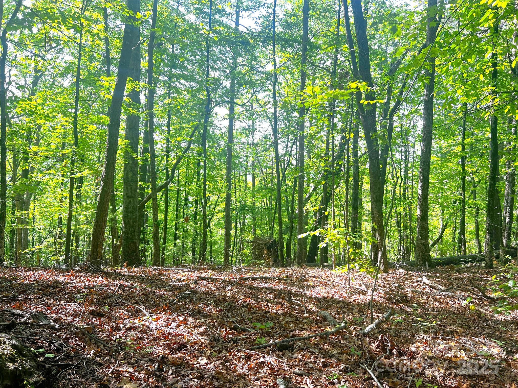 Round Mountain - Land