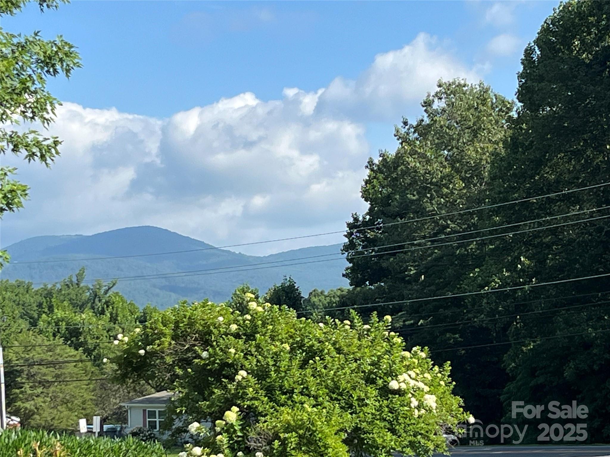 40 Country View Lane
