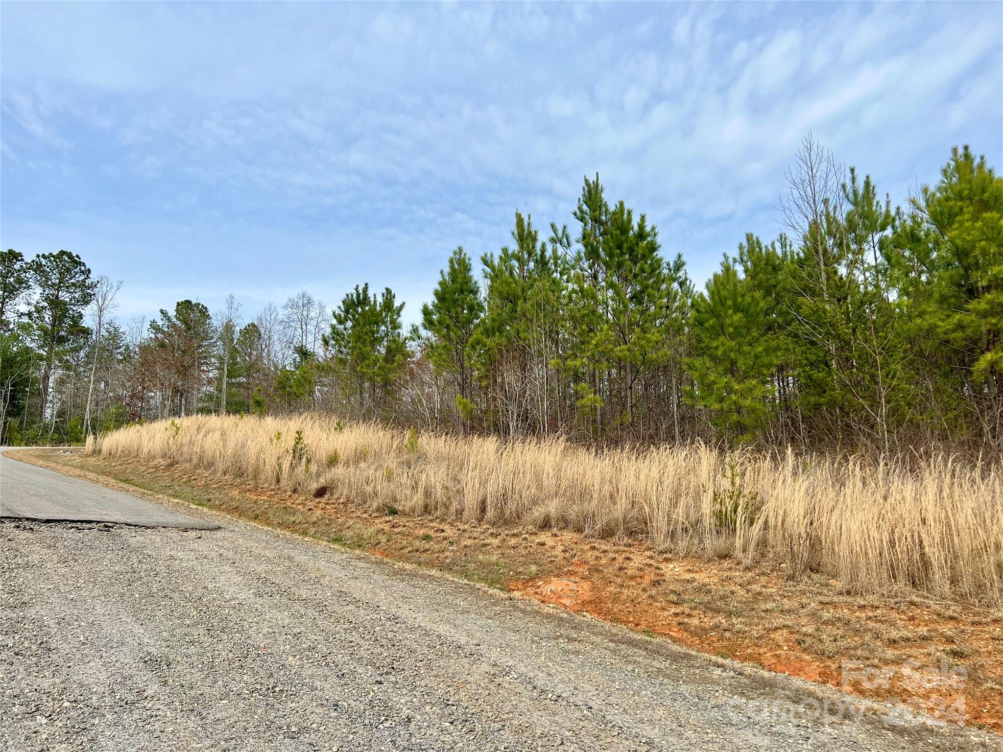 The Coves Mountain River Club - Land